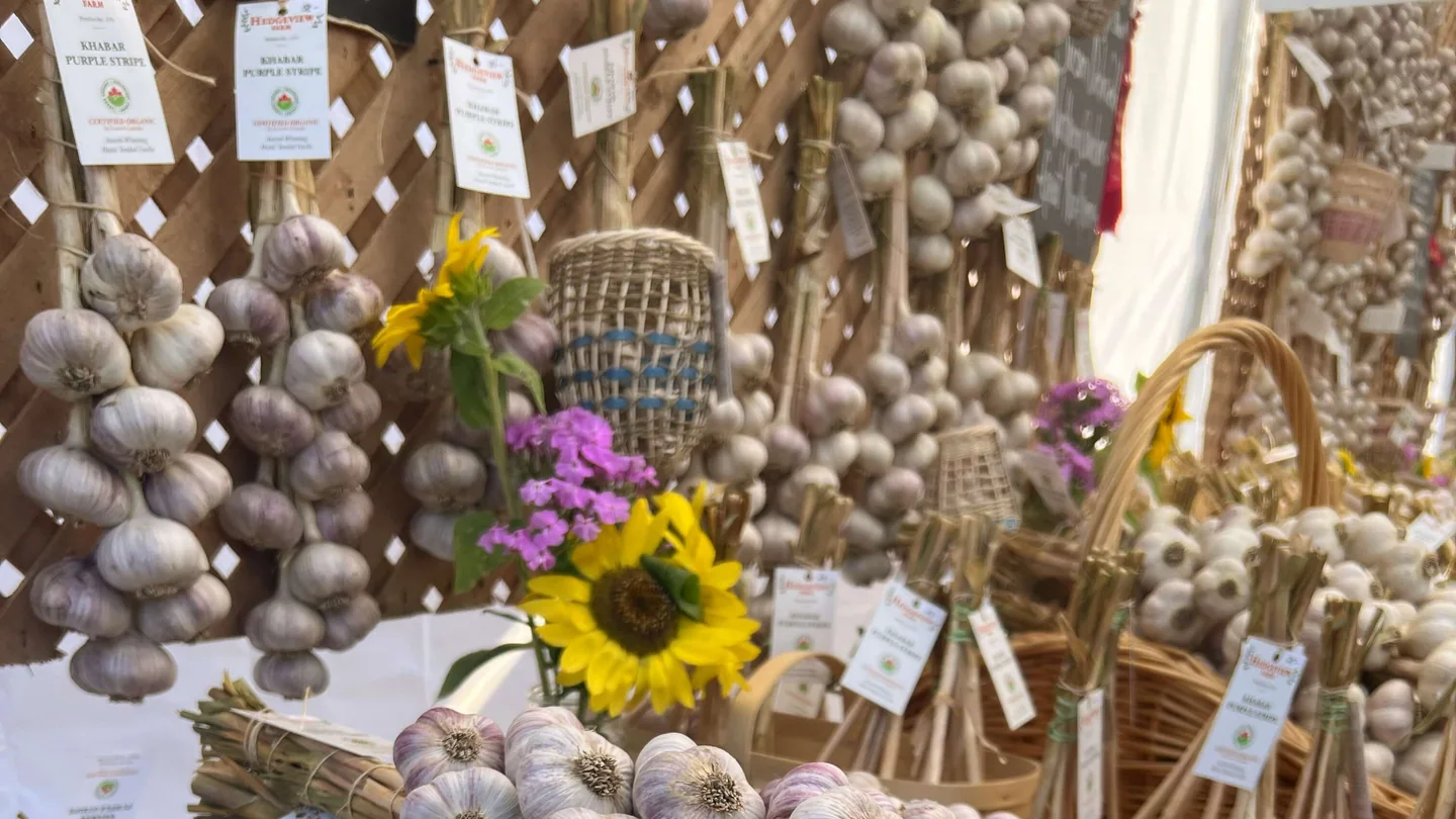 Garlic vendors and visitors at the Carp Garlic Festival