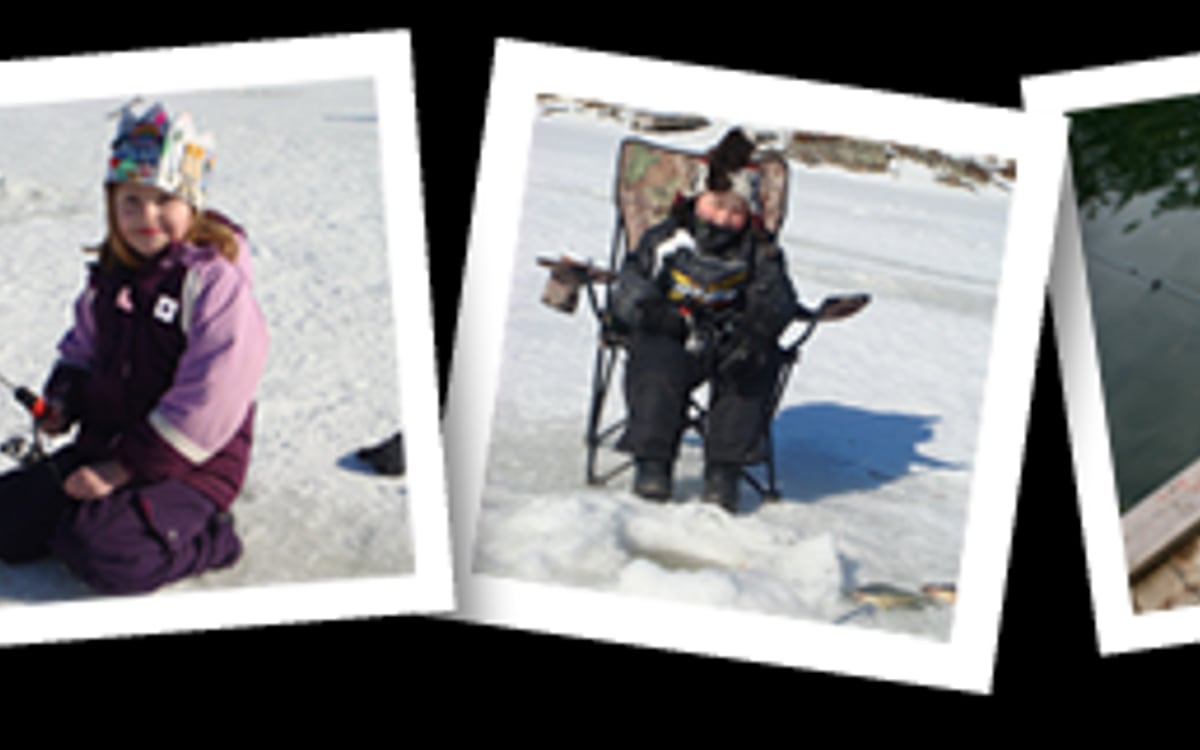 Ontario Family Fishing official artwork