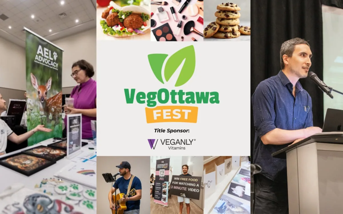 VegOttawa Fest in Ottawa